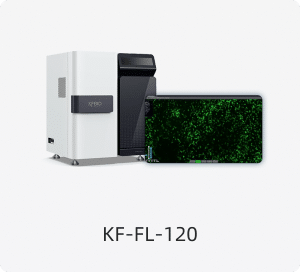 KF-FL-120 high-throughput 120-slide multi-channel fluorescence scanner