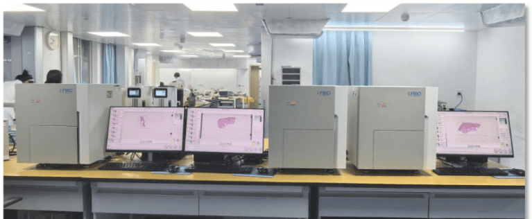 Interior view of the Pathology Department at Tongji Hospital, Wuhan. Pathologists operating KFBIO digital slide scanners and the KF-PIMS (Pathology Information Management System) for integrated digital pathology workflow.