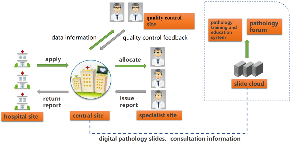 Architecture et flux de travail de la plateforme de télédiagnostic en pathologie numérique