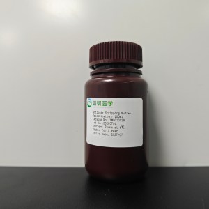 Antibody Stripping Buffer