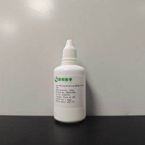 Anti-Fading Mounting Medium with DAPI