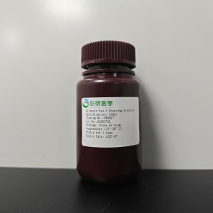 Alizarin Red S Staining Solution (1%)